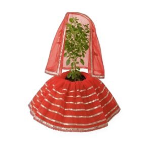 Red Veil Lehenga Poshak Set